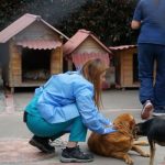 A través de brigadas especializadas, el Instituto de Protección y Bienestar Animal de Cundinamarca sigue respaldando a fundaciones y refugios, mejorando la calidad de vida de cientos de animales en condición de vulnerabilidad.
