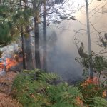 Se reportan más de 30 incendios forestales en varias provincias de Cundinamarca con más de 80 hectáreas afectadas.