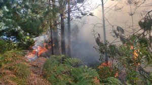 Se reportan más de 30 incendios forestales en varias provincias de Cundinamarca con más de 80 hectáreas afectadas.