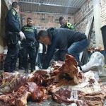 En los últimos 10 años el sacrificio clandestino de ganado en el país aumentó 21%