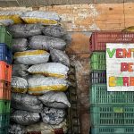 CAR propina golpe al comercio ilegal de carbón vegetal en el Sumapaz