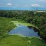 Más de 97 mil millones de pesos fueron destinados para la protección, recuperación y restauración de diferentes humedales en la jurisdicción de la CAR