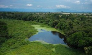 Más de 97 mil millones de pesos fueron destinados para la protección, recuperación y restauración de diferentes humedales en la jurisdicción de la CAR