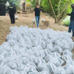 Se  sembro el alevino número 1.300.000 de bocachico y pataló, gracias a las 12 jornadas que adelantamos en nueve municipios ribereños del departamento”: gobernador Jorge Rey.