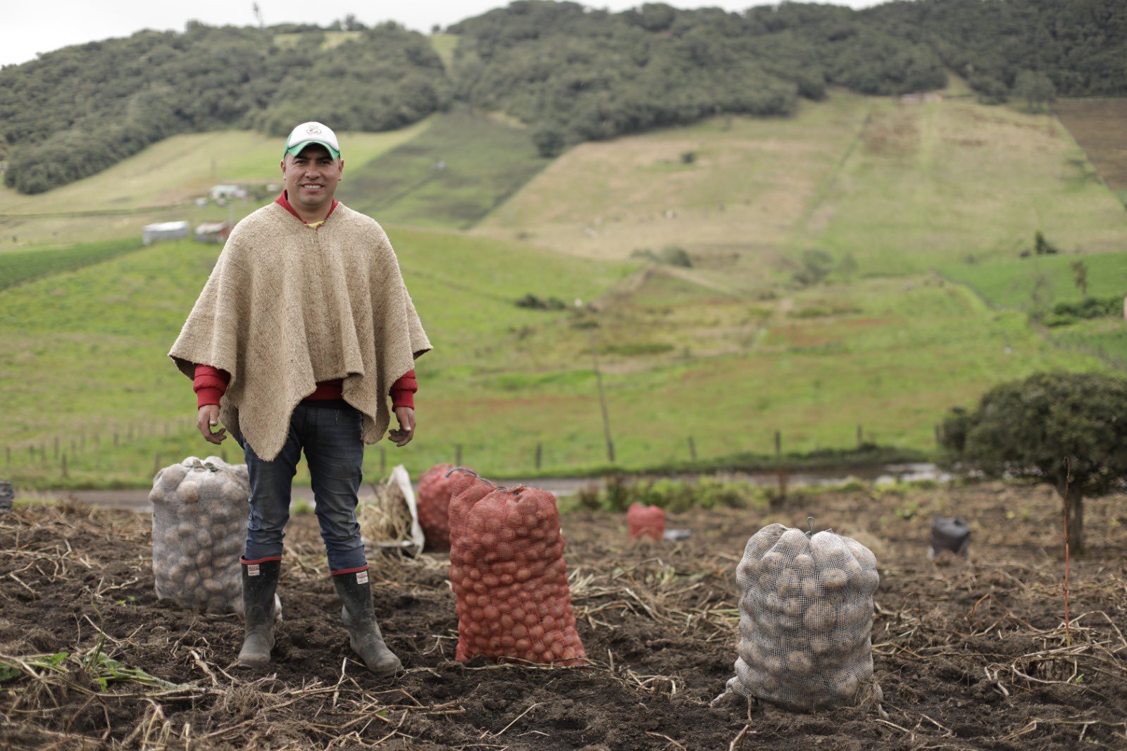 En el marco de la conmemoración del Día del Campesino, el Gobernador de Cundinamarca informa la inversión de $47.000 millones para el campo